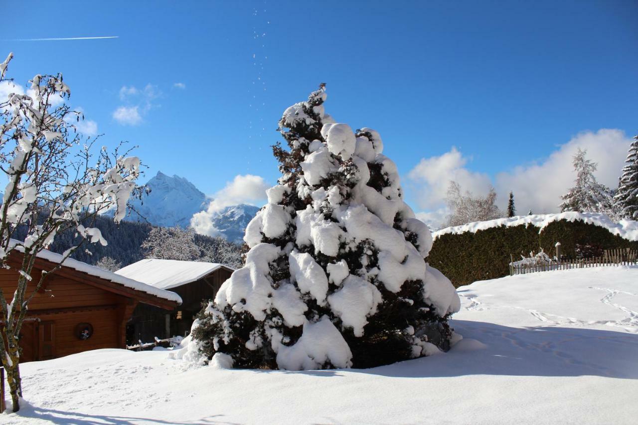 Chalet Le Slalom Arveyes Exterior photo